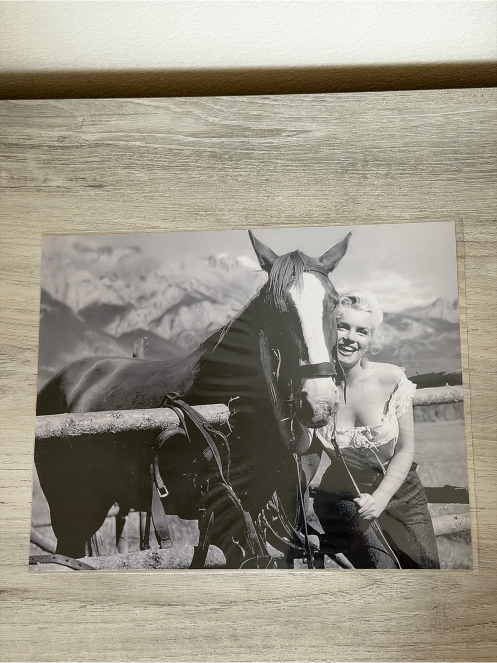 Marilyn Monroe Black and White Horse Photo 8x10